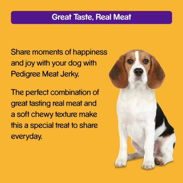 PEDIGREE® MEAT JERKY Adult Dog Treat , Roasted Lamb 70gm-Petsbuddy