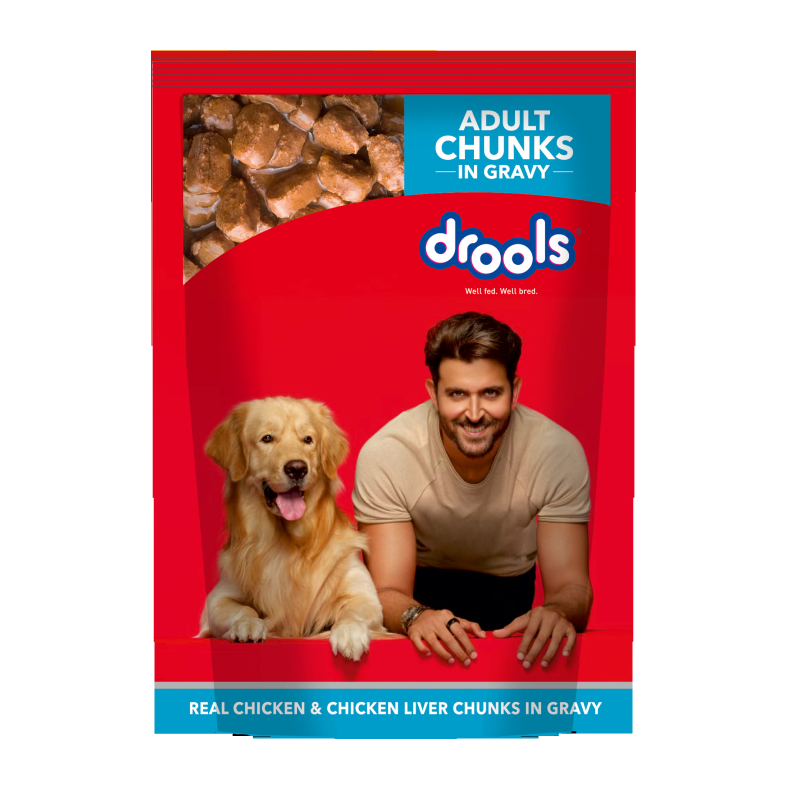 Drools Wet Food For Adult 150Gm-Petsbuddy