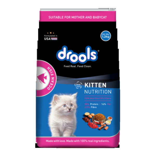 Drools Ocean Fish Kitten Cat Food-Petsbuddy