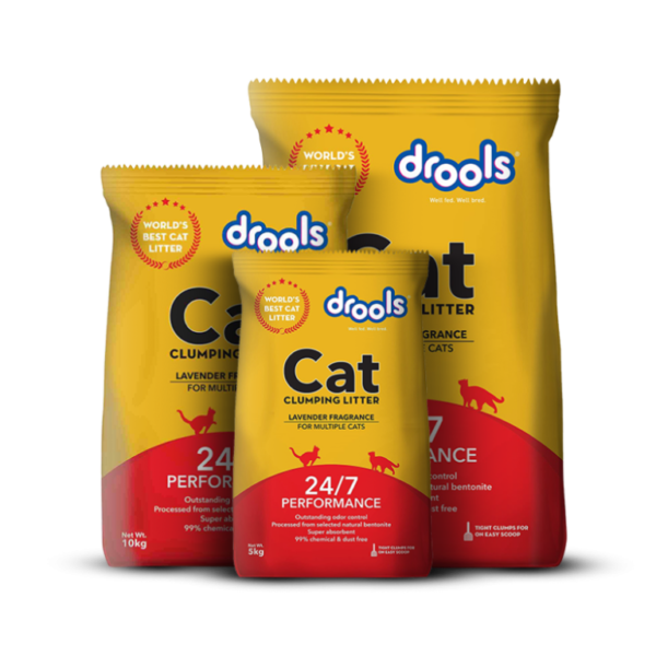 Cat Litter-Petsbuddy