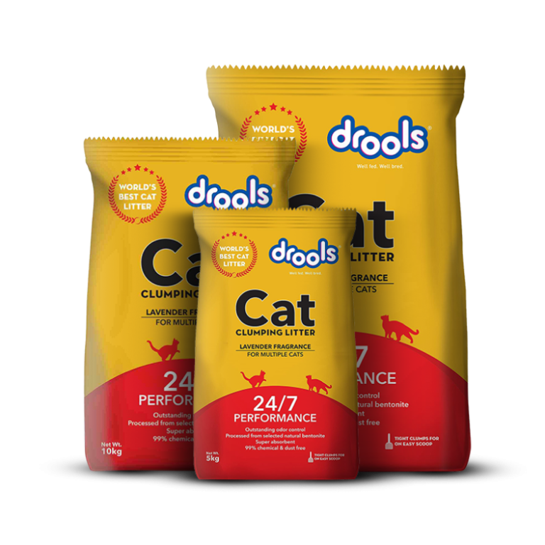 Cat Litter-Petsbuddy