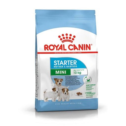 Royal Canin Mini Starter 1Kg-Petsbuddy