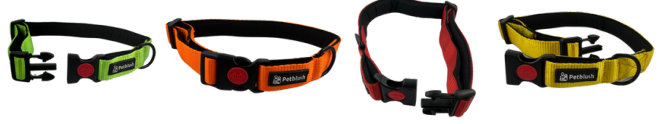 Assorted Bold Color Padded Collars with Lock Buckle