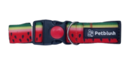 Printed Padded Collars with Lock Buckle