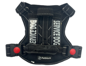 Tactical Harness Black