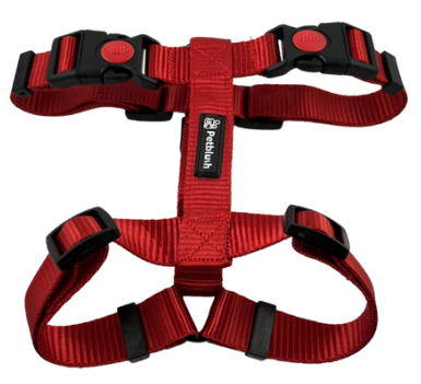 Premium Solid H Harness with Lock Buckle