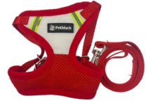 Dual Color Net Harness