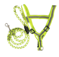 Reflective Harness & Rope Leash for Puppies