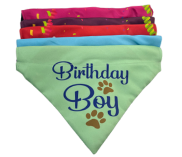 Birthday Bandanas (Boy)