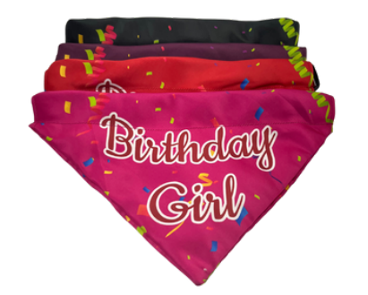 Birthday Bandanas (Girl)